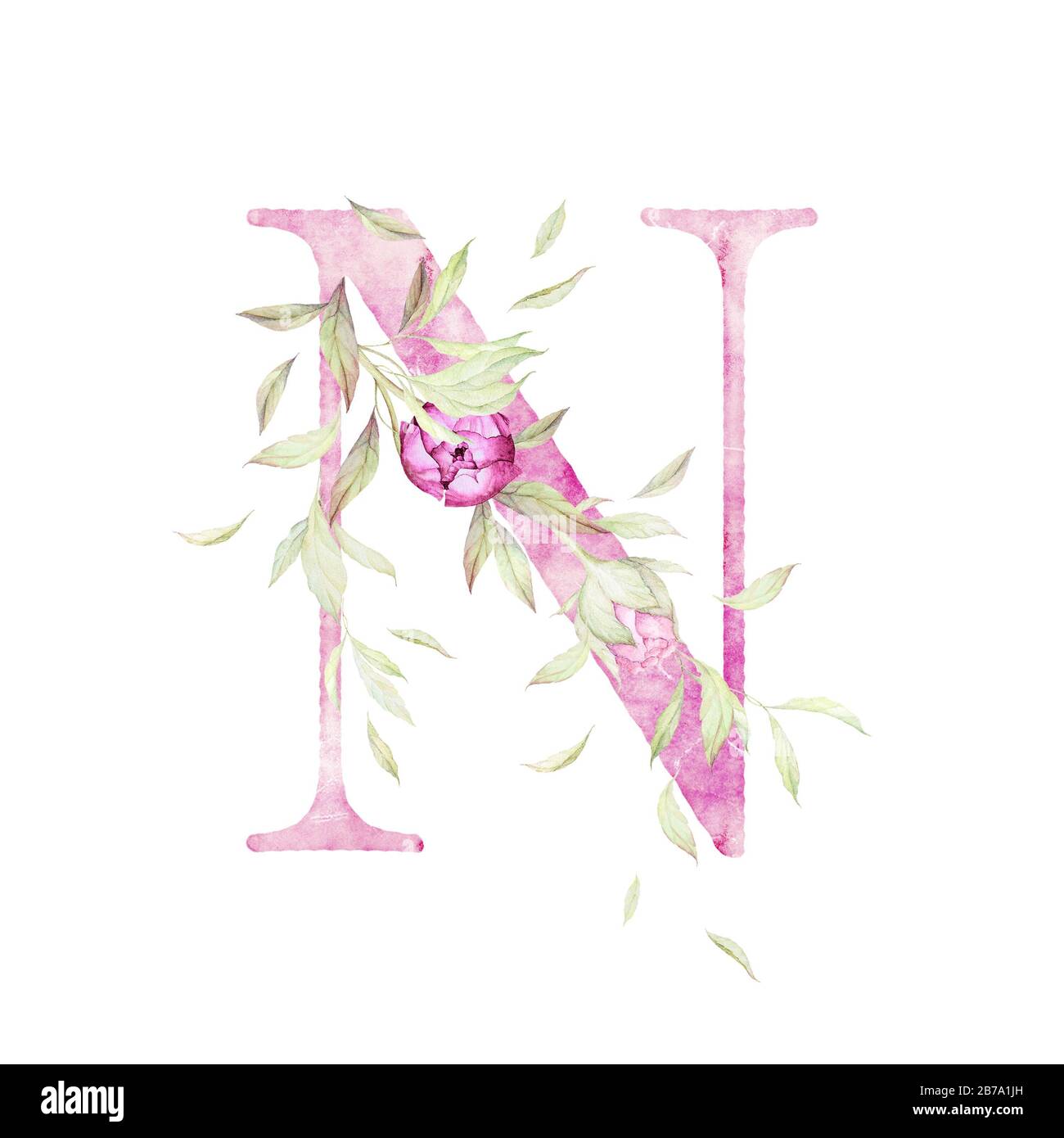 big letter n alphabet light pink floral decor watercolor white background print quality stock photo alamy