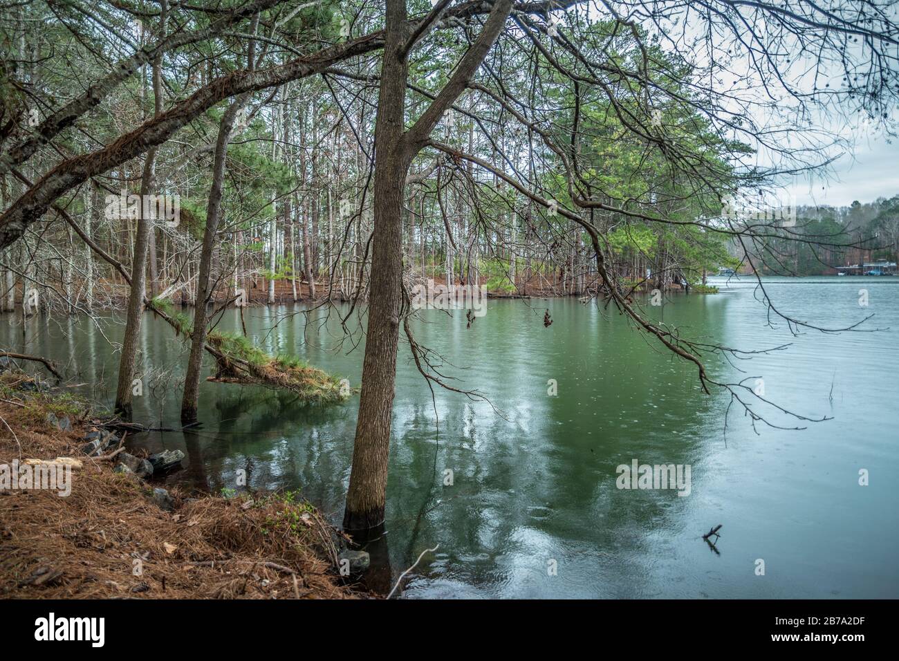 A flooded shoreline at the lake with the beach and trees and the rocks underwater on a overcast rainy day in late winter Stock Photo