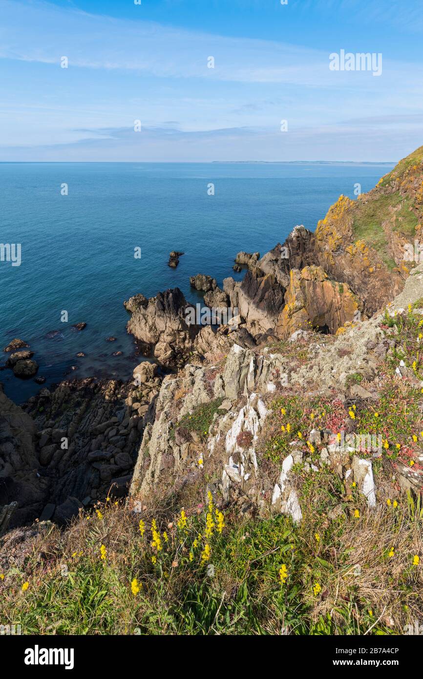 Cliffs along the Solway Firth, near Brighouse Bay, Dumfries & Galloway, Scotland Stock Photo