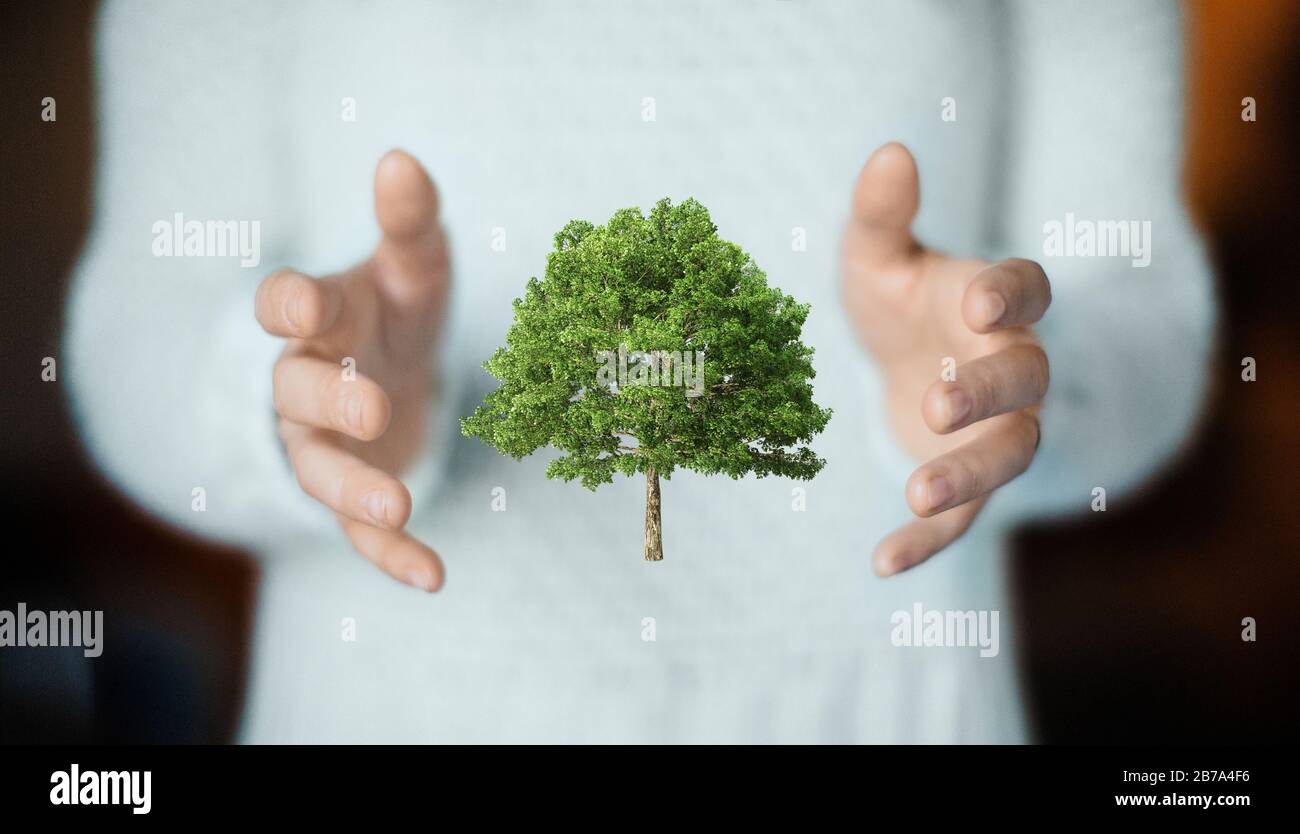 Woman Hand Tree Woman holding green tree in hand, 3d rendering Stock Photo - Alamy
