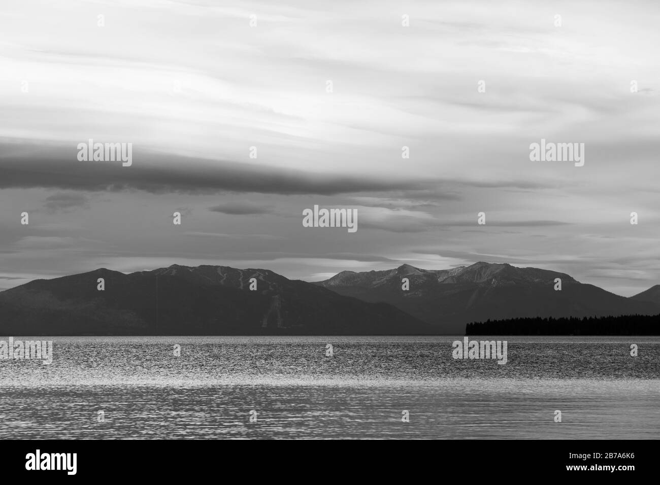 Pines and sunset Black and White Stock Photos & Images - Alamy