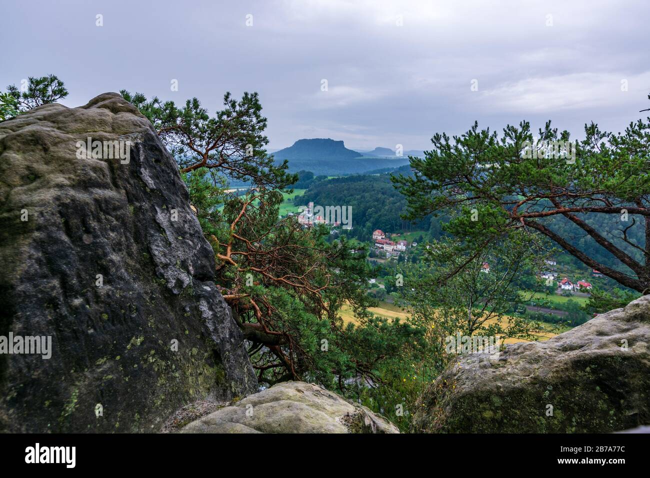 A rock and tree near the river Elbe in Saxon Switzerland Stock Photo ...