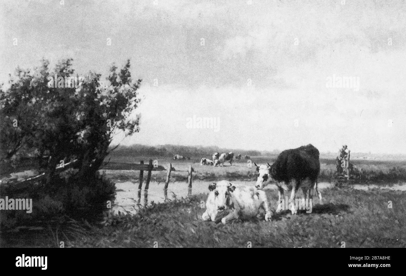 Gesine Vester - Polderlandschap met koeien Stock Photo - Alamy