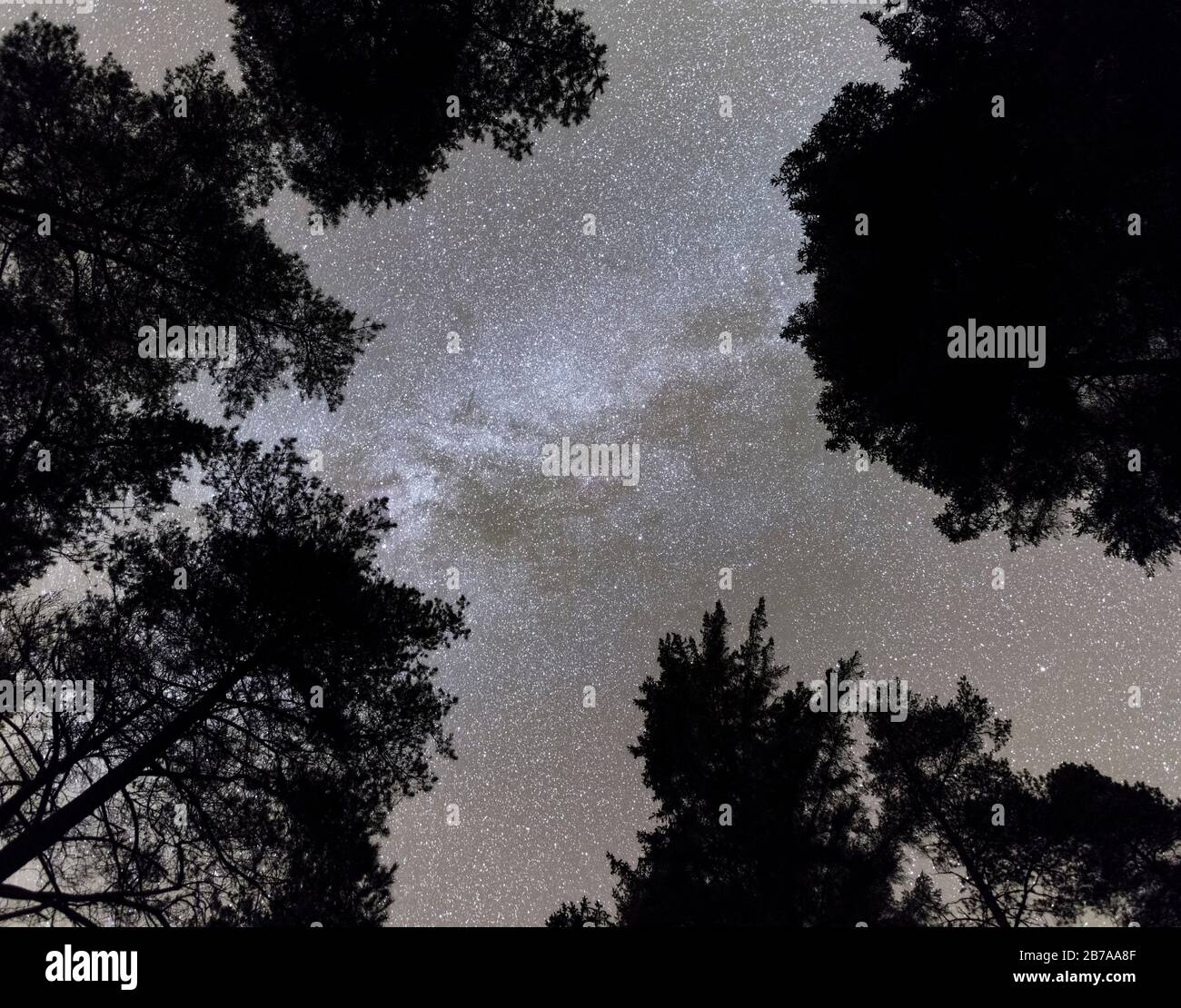 Looking up at the Milky Way and stars, Galloway Dark Sky Park, Galloway Forest, Dumfries & Galloway, Scotland Stock Photo