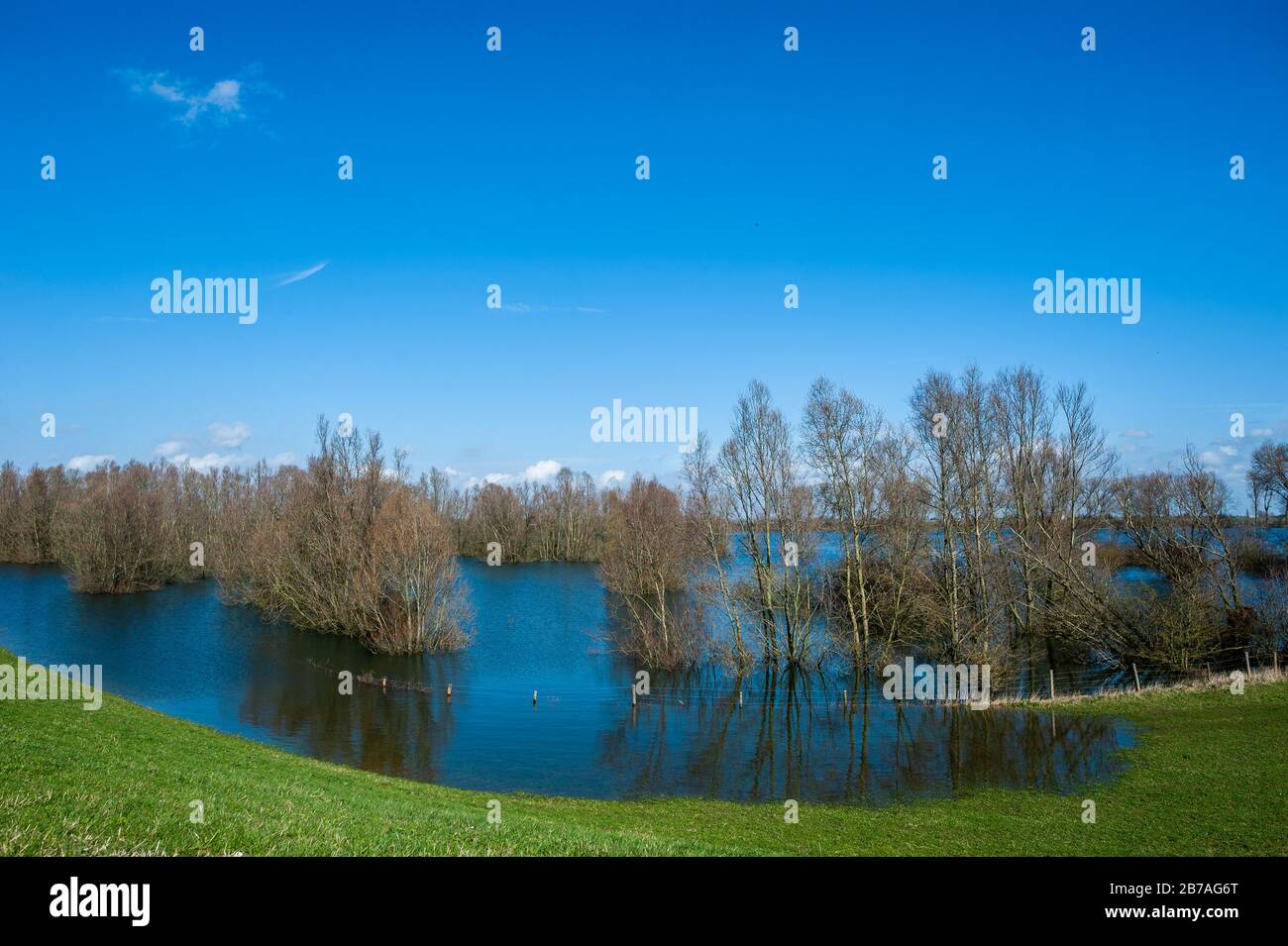 Seen under the water hi-res stock photography and images - Alamy