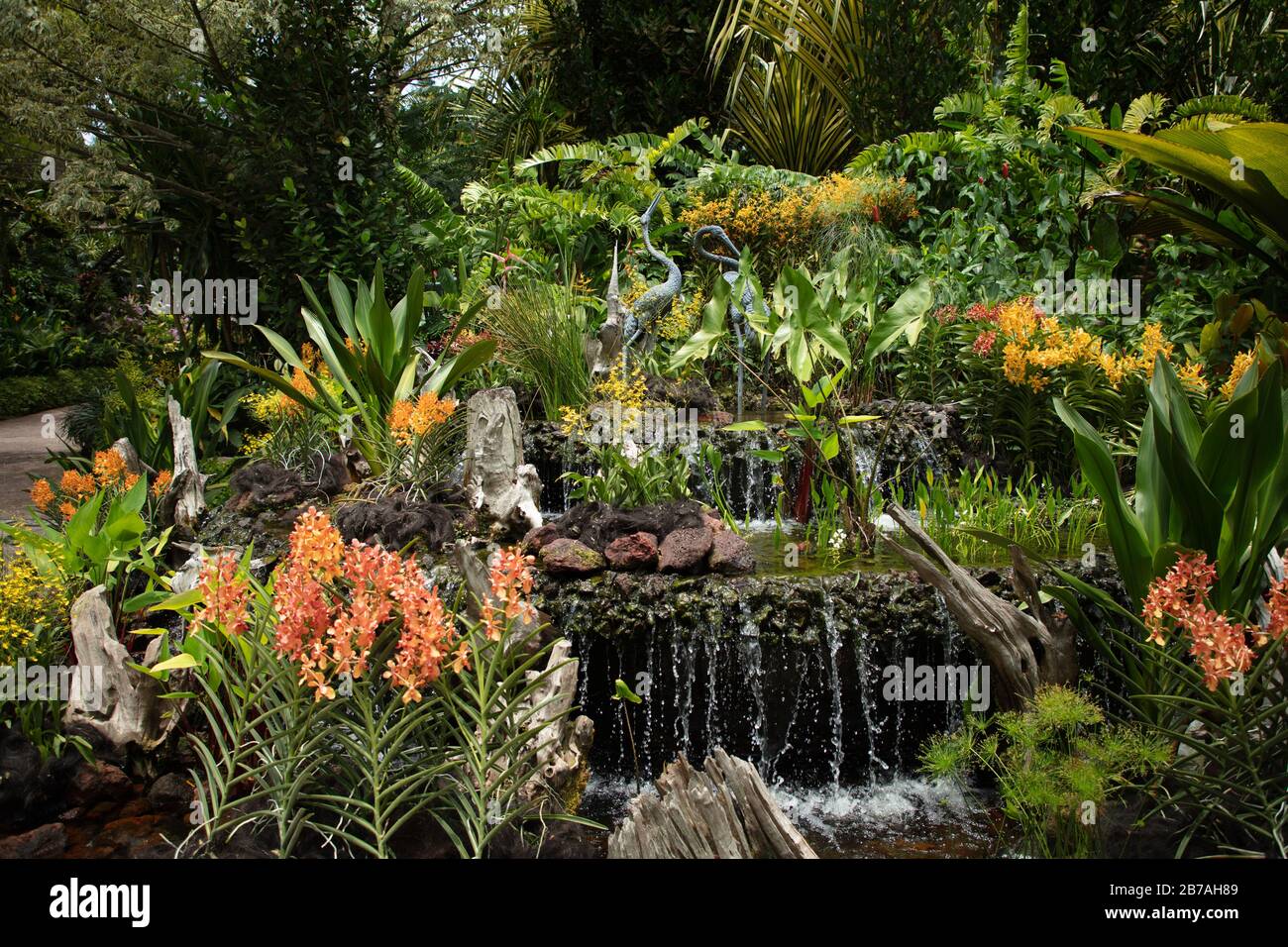 Display of Orchids and sculpture in the National Orchid Garden