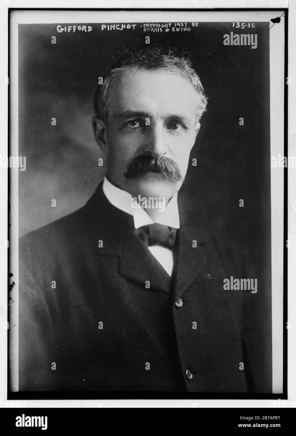 Gifford Pinchot, portrait bust Stock Photo Alamy