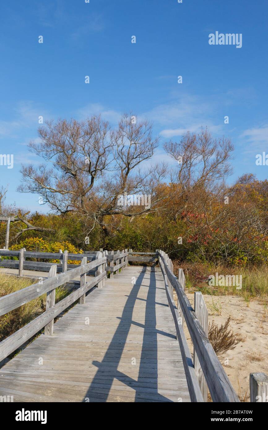 Sandy point state reservation during hires stock photography and