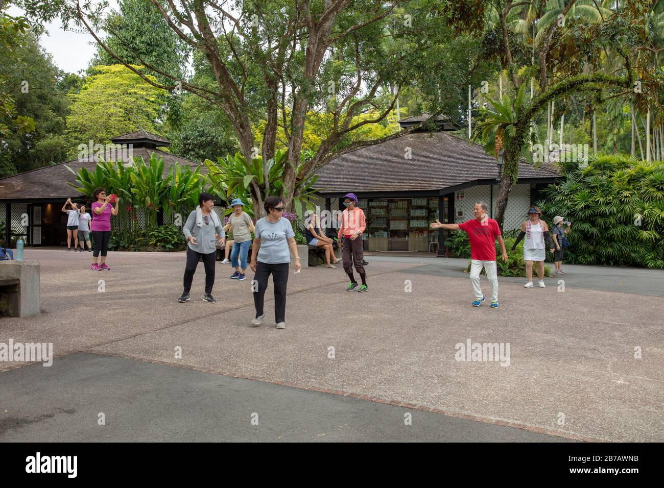 Group of senior citizens seen in a dance exercise class in Singapore Botanic Gardens. Stock Photo