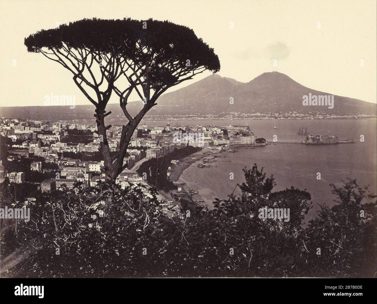 Giorgio Sommer (Italian, born Germany - Panorama of Vomero with Pine Tree Stock Photo