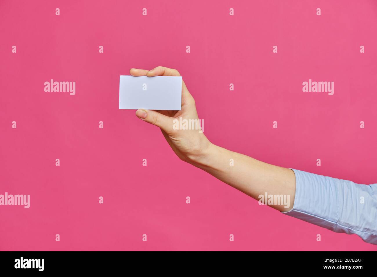 Female outstretched hand shows a white card on a pink background. Copy space. Close up. Stock Photo