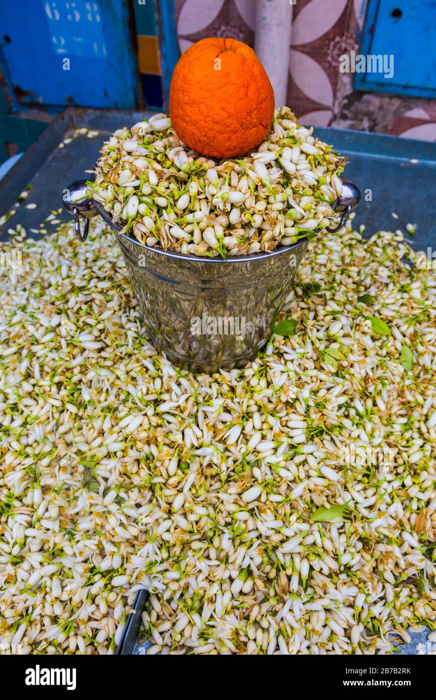 Africa orange citrus hires stock photography and images Alamy