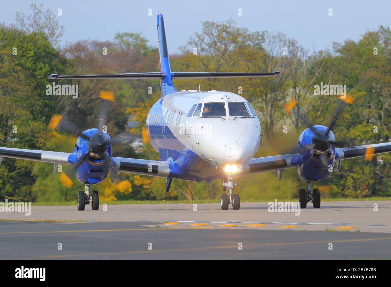 When To Cut Back Oakleaf Hydrangeas Cinemas 93