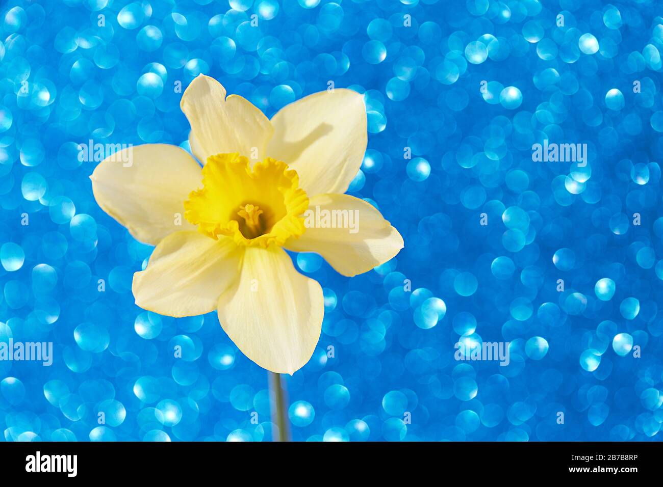 Blue card hi-res stock photography and images - Alamy
