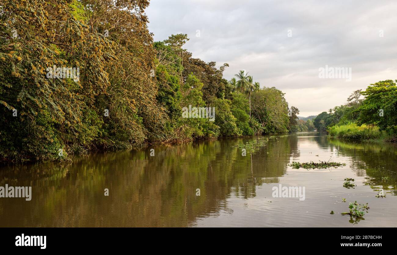Sierpe River, Costa Rica, Centroamerica Stock Photo