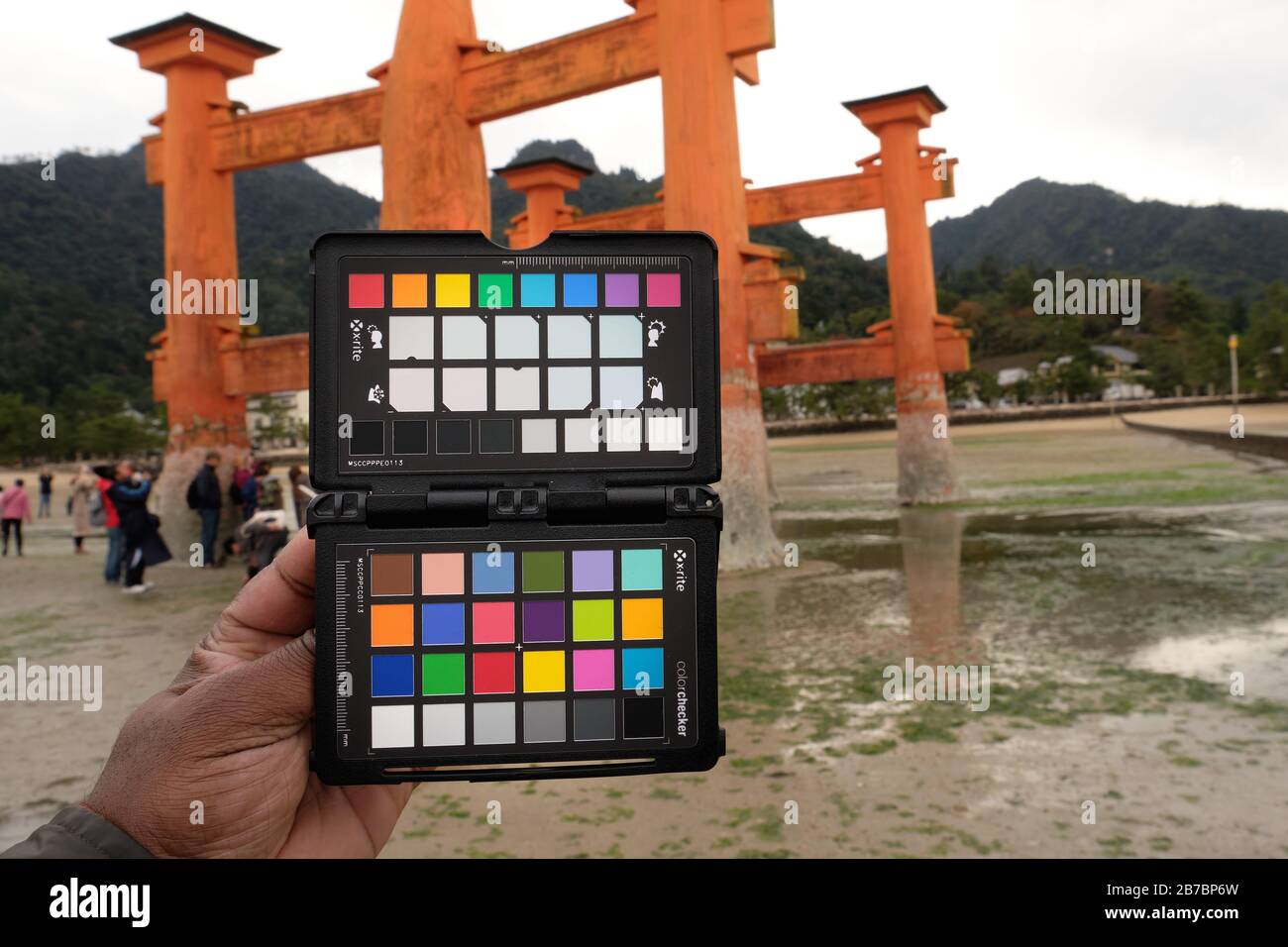 Man's hand holding X-rite colorchecker passport on location for camera white balance and color calibration photo Stock Photo