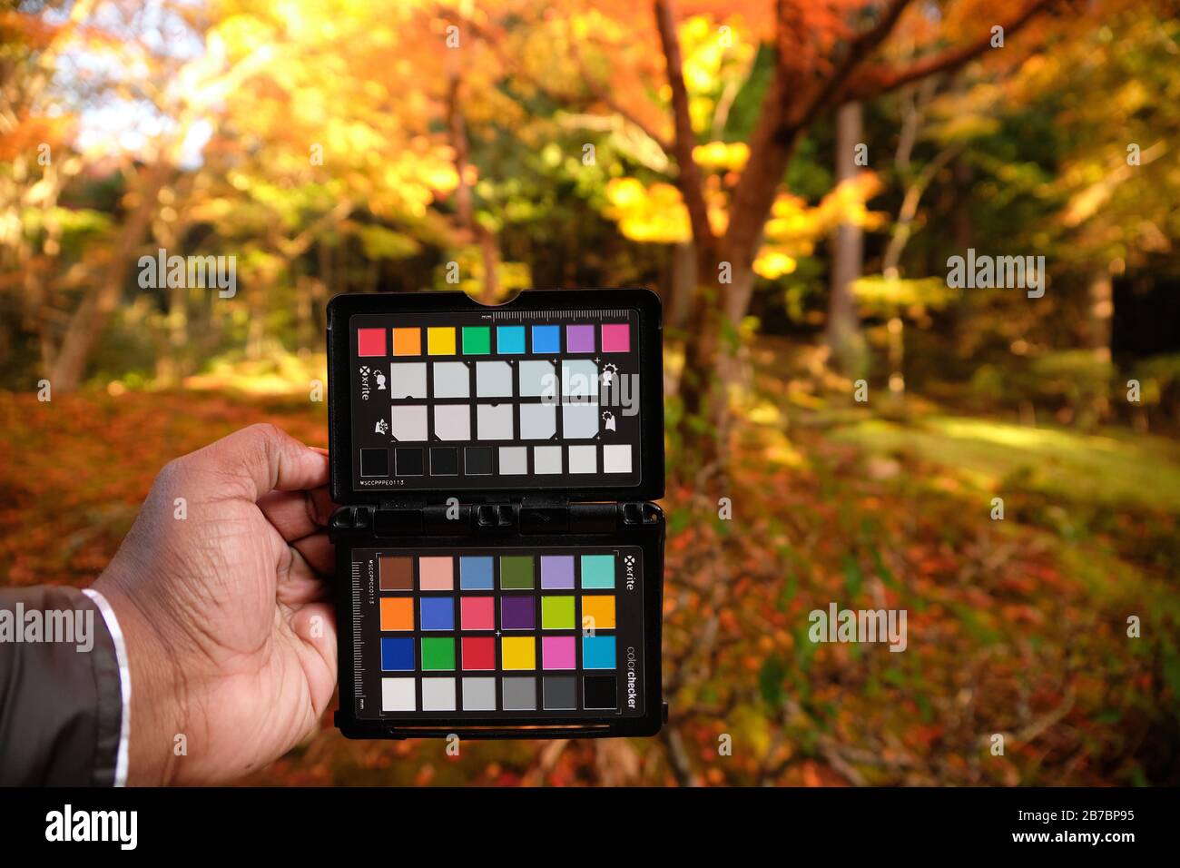 Man's hand holding X-rite colorchecker passport on location for camera white balance and color calibration photo Stock Photo