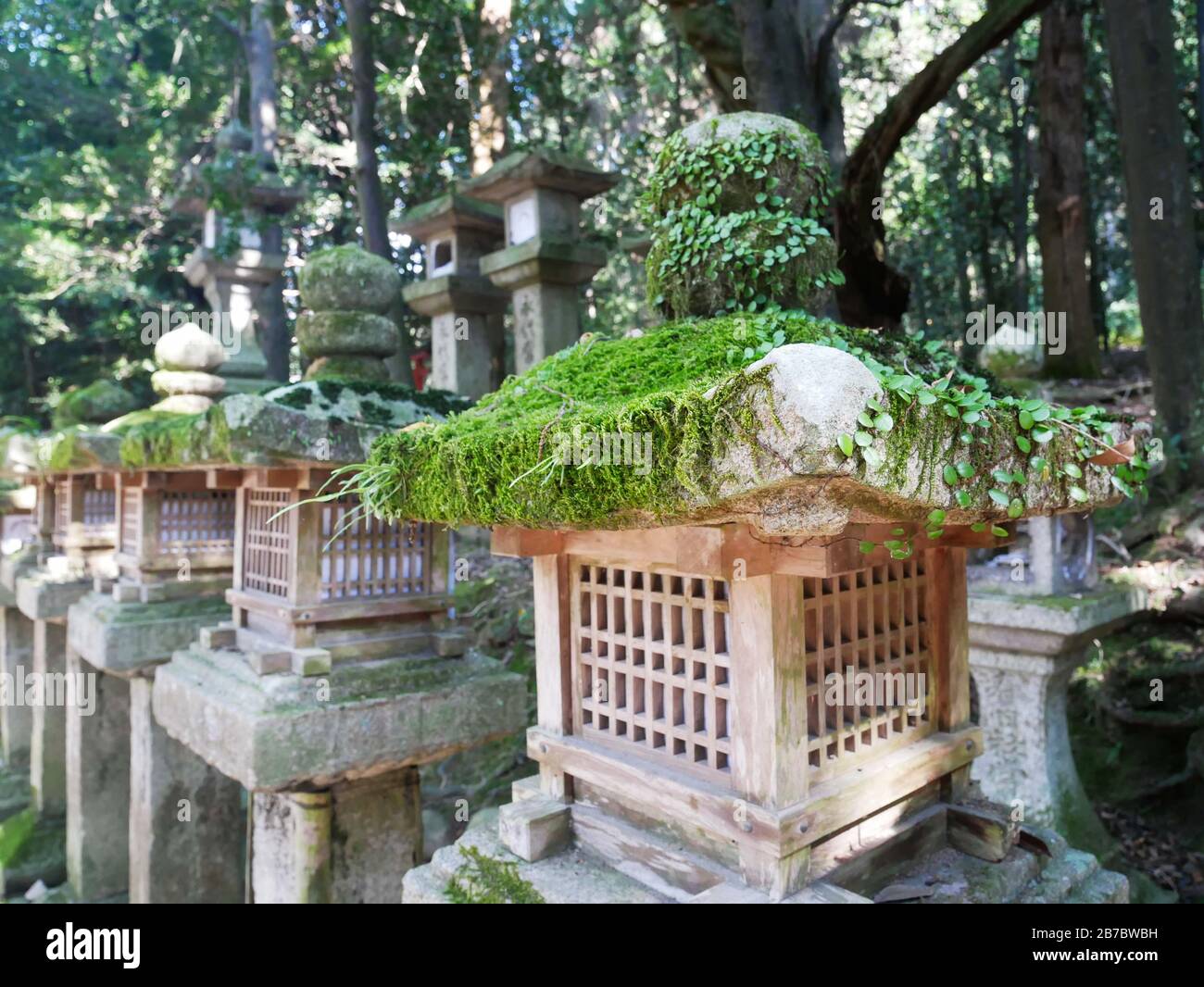 Mossy stone lanterns surrounding a temple in Japan Stock Photo