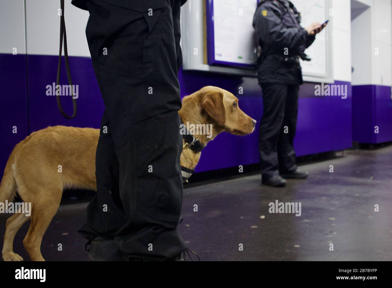 28 February 2020, London, UK British Transport police (BTP) in operation in the UK capital as part of operation, sentinel, tackling drug crime. Stock Photo