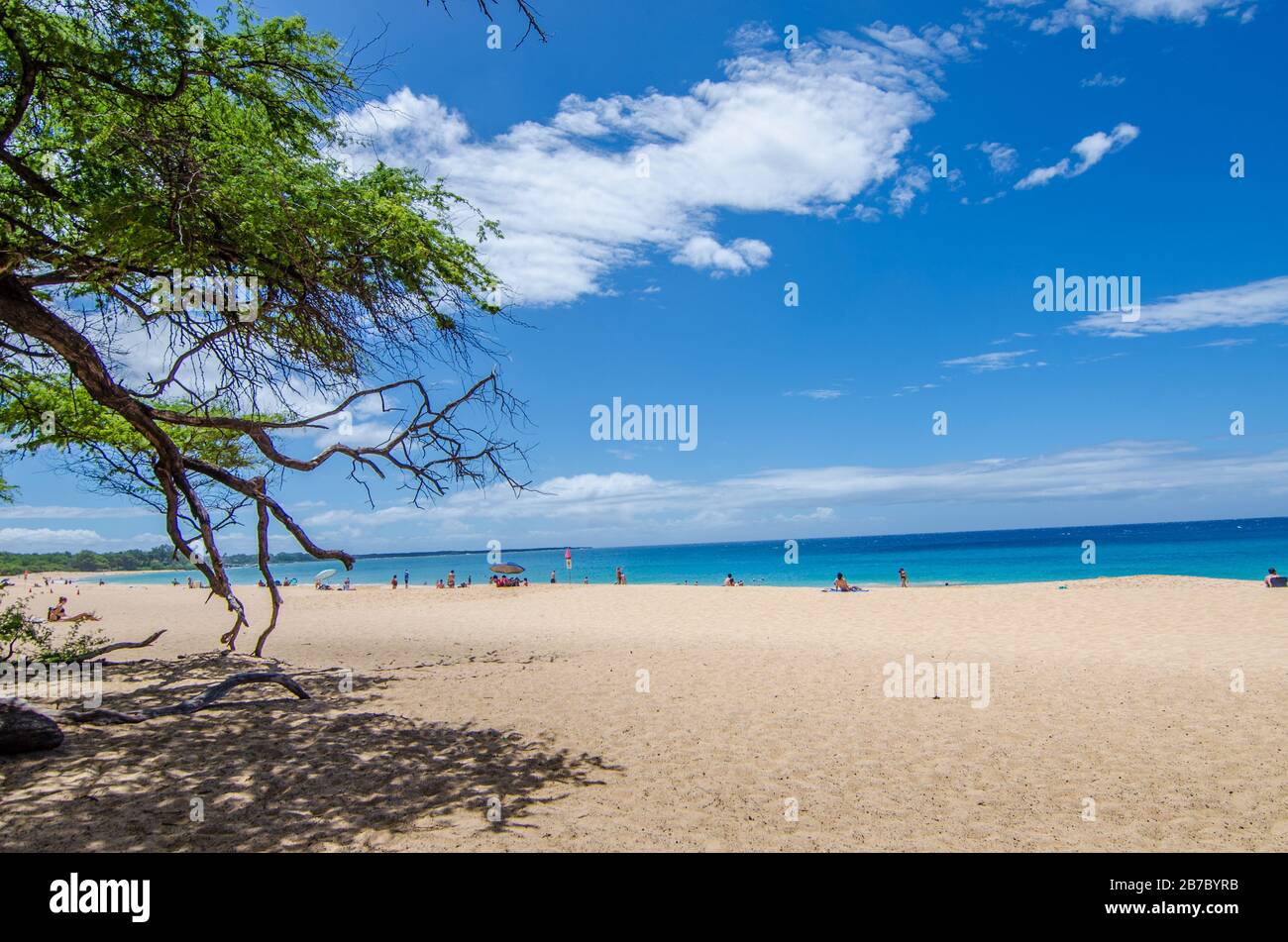 One Of The Best Beach With Crystal Clear Water Big Beach Maui One Of The Best Beach With Crystal Clear Water Big Beach Maui