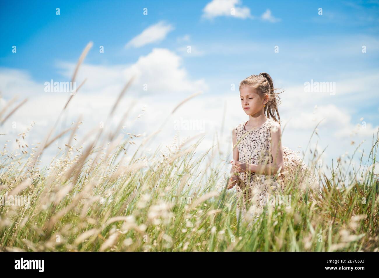 beautiful little thin girl in summer dress in grass field under blue cloudy sky Stock Photo