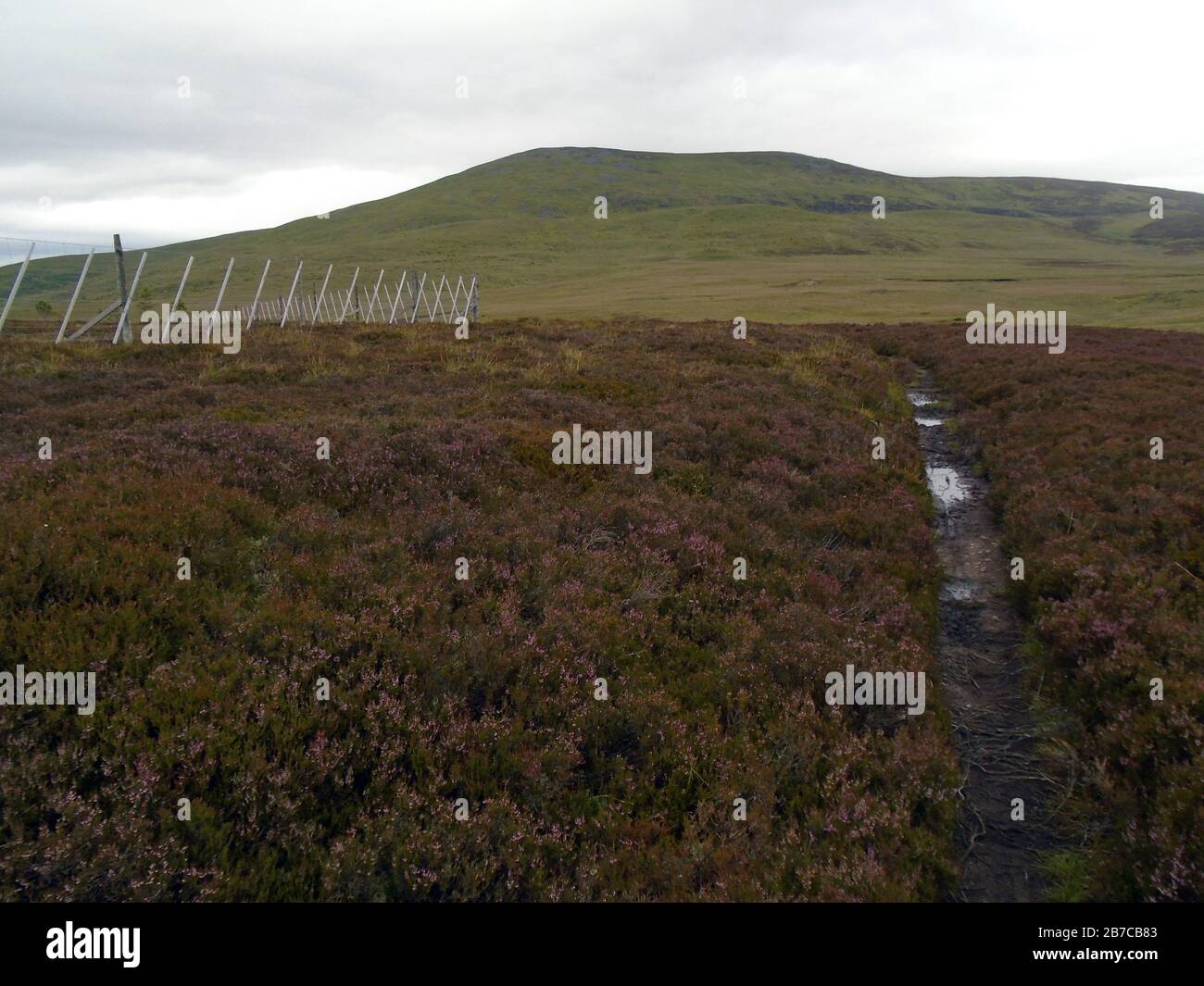 The Scottish Mountain Corbett 'Morven' & Rashy Moss on the Path from Millton of Tullich near Ballater, Deeside, Scotland. Stock Photo