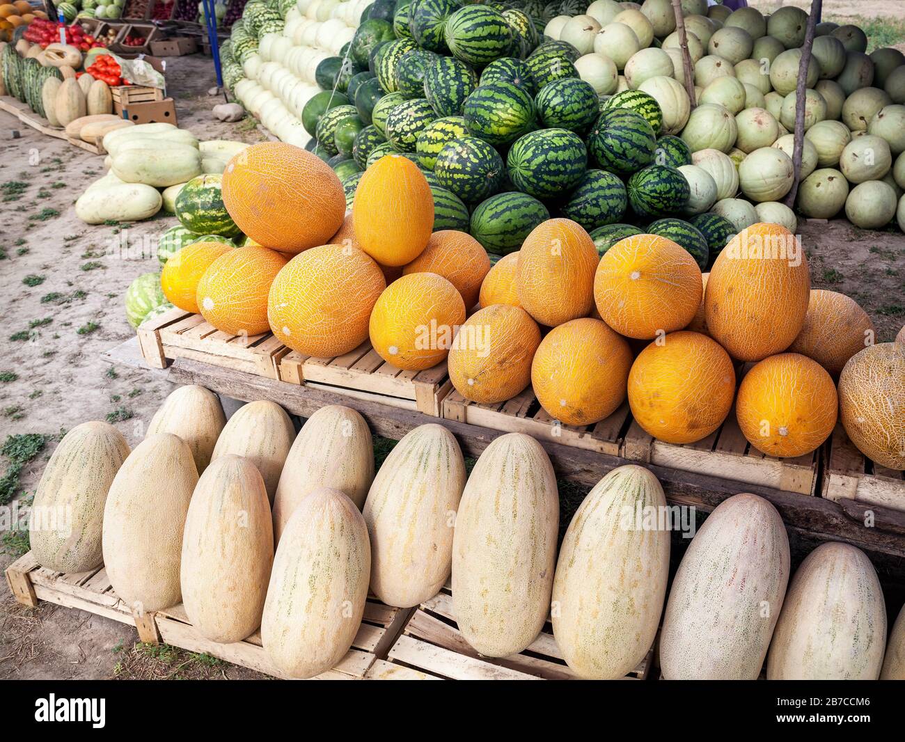Fruit market with various of melons in Kazakhstan Stock Photo