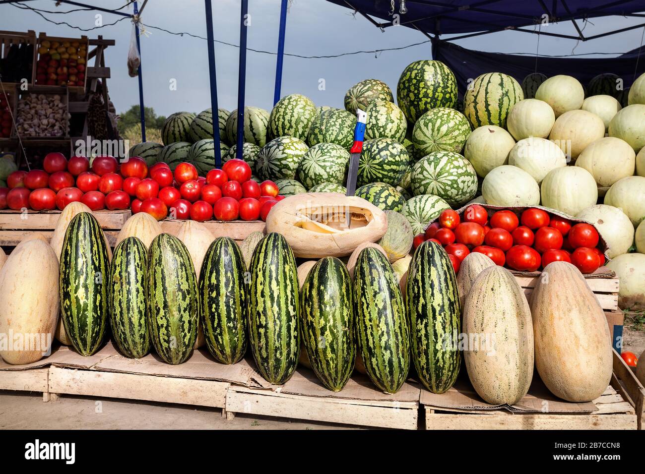 Fruit market with various of melon in Kazakhstan Stock Photo