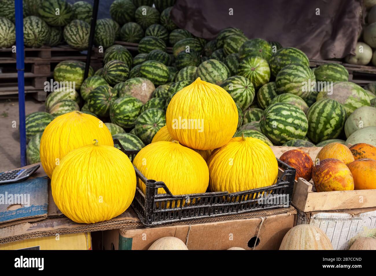 Fruit market with yellow melons and watermelons in Kazakhstan Stock Photo