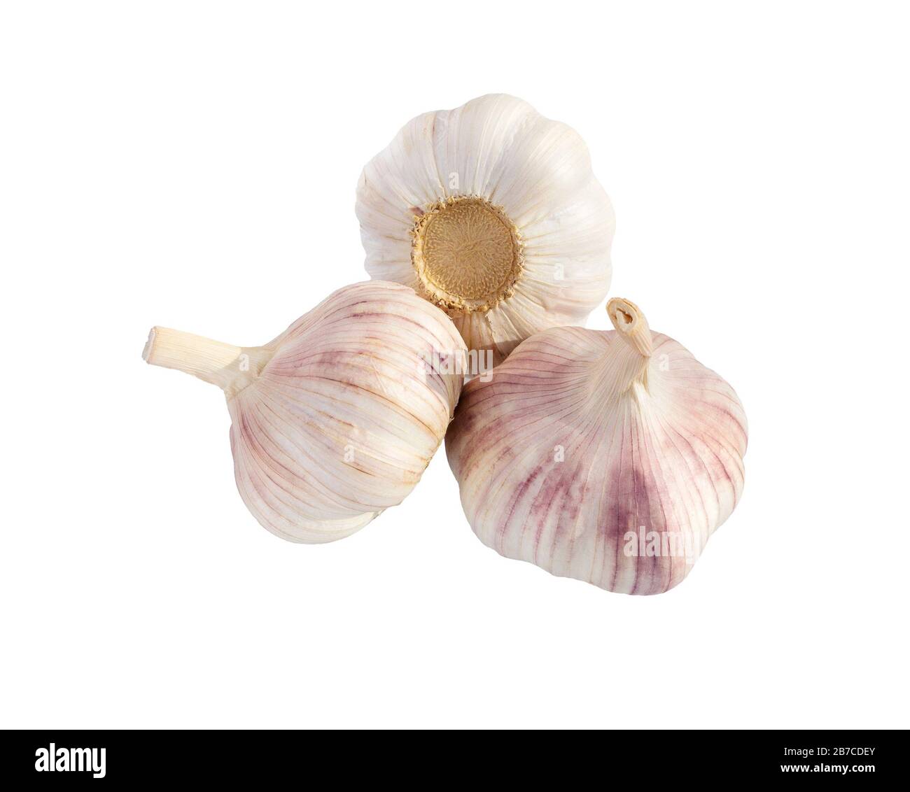 Garlic isolated on white background close up. Raw garlic with clove. Garlic bulb. Stock Photo
