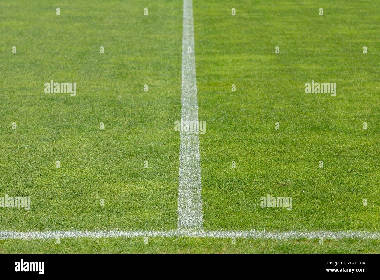 Lines on a football pitch Stock Photo Alamy