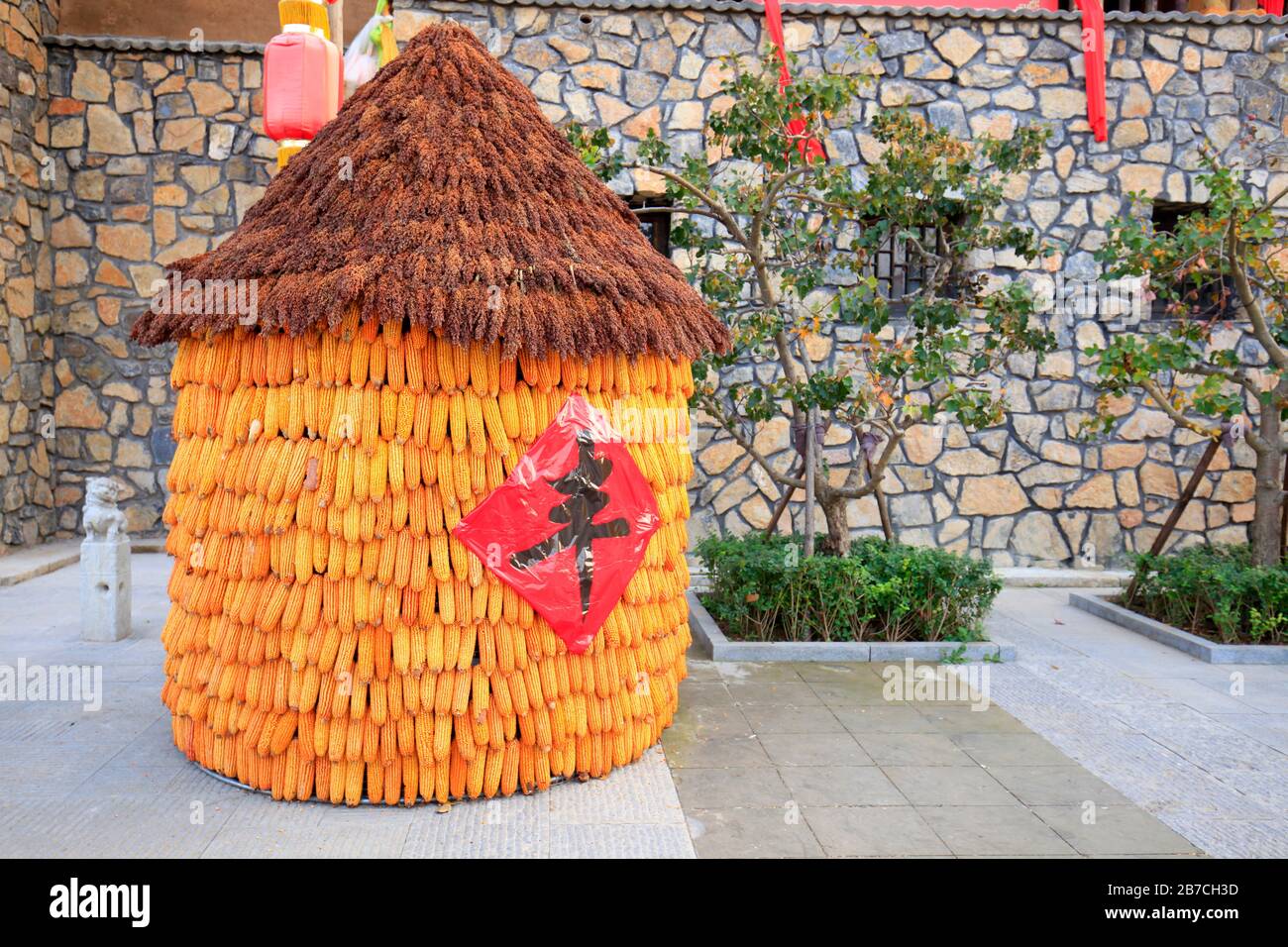 The dried corn mature in the farmyard，Chinese literal translation: good harvest Stock Photo