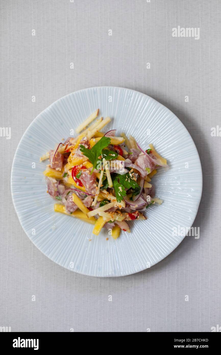 Tuna ceviche with coconut milk, mango, chilli and lime juice Stock