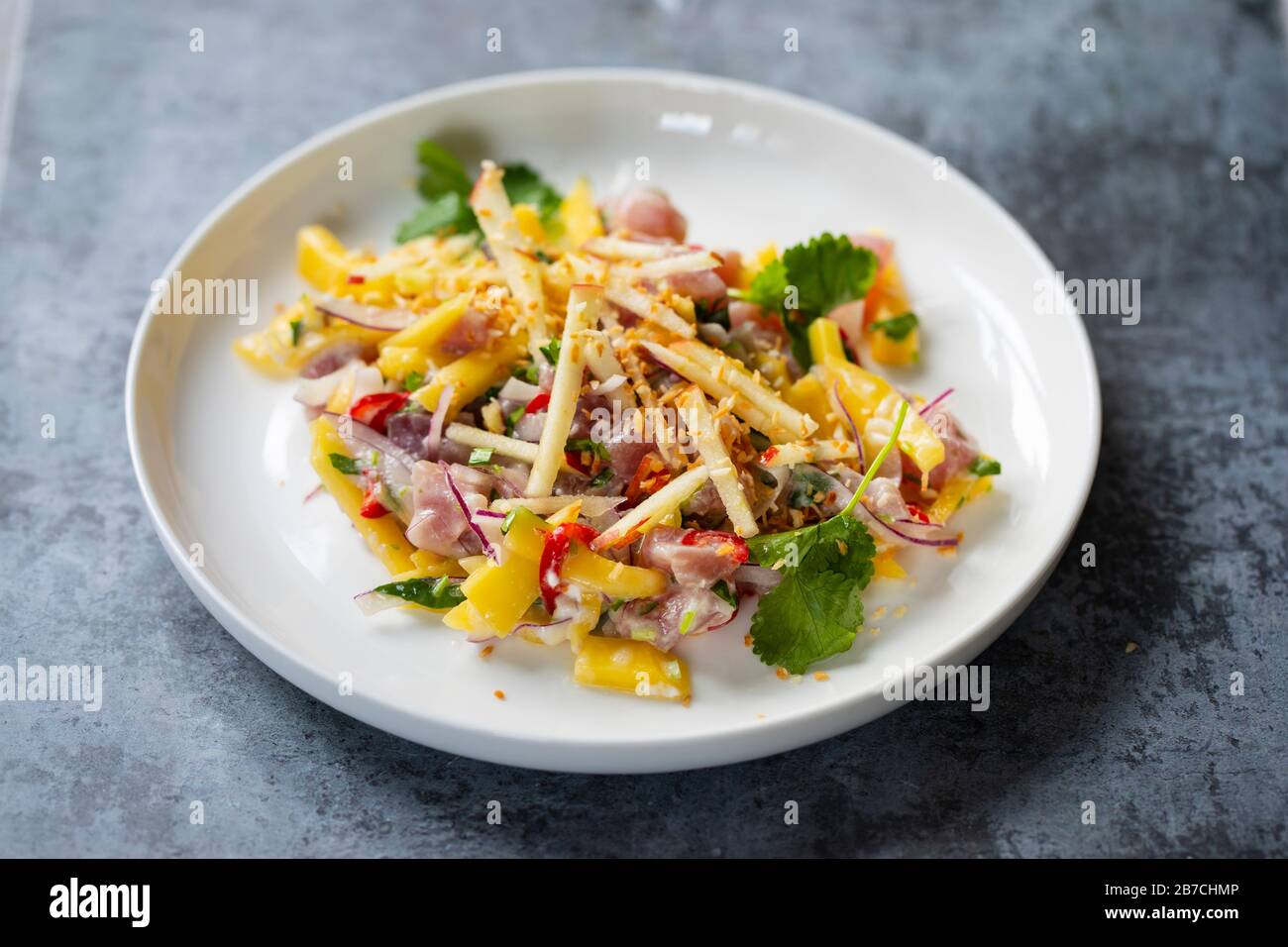 Tuna ceviche with coconut milk, mango, chilli and lime juice Stock