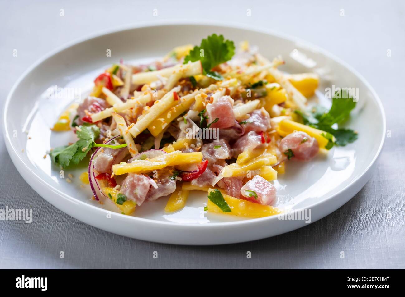 Tuna ceviche with coconut milk, mango, chilli and lime juice Stock
