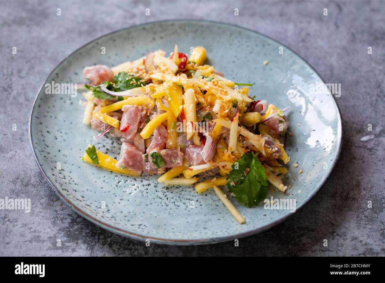 Tuna ceviche with coconut milk, mango, chilli and lime juice Stock