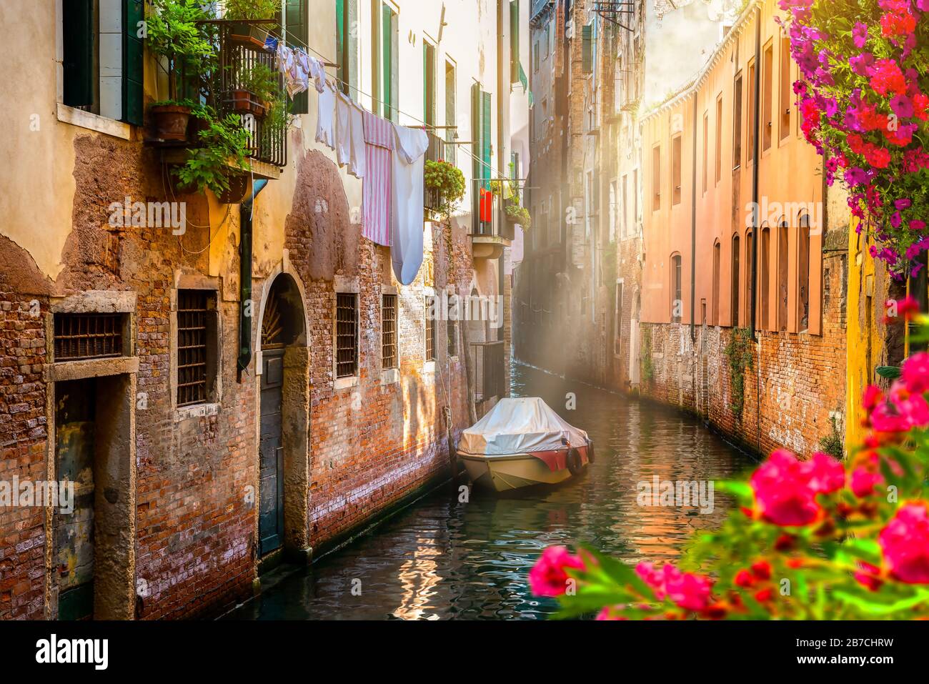Flowers on a canal in Venice, Italy Stock Photo