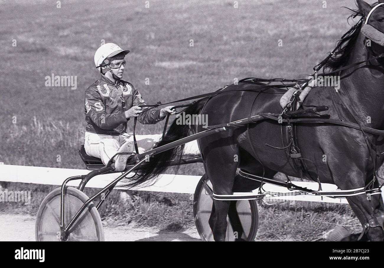 1980s, historical, harness racing or sometimes known as pony and trap racing, picture shows a female rider or driver riding a 'sulky', a small two-wheeled cart attached to a horse, England, UK. Stock Photo