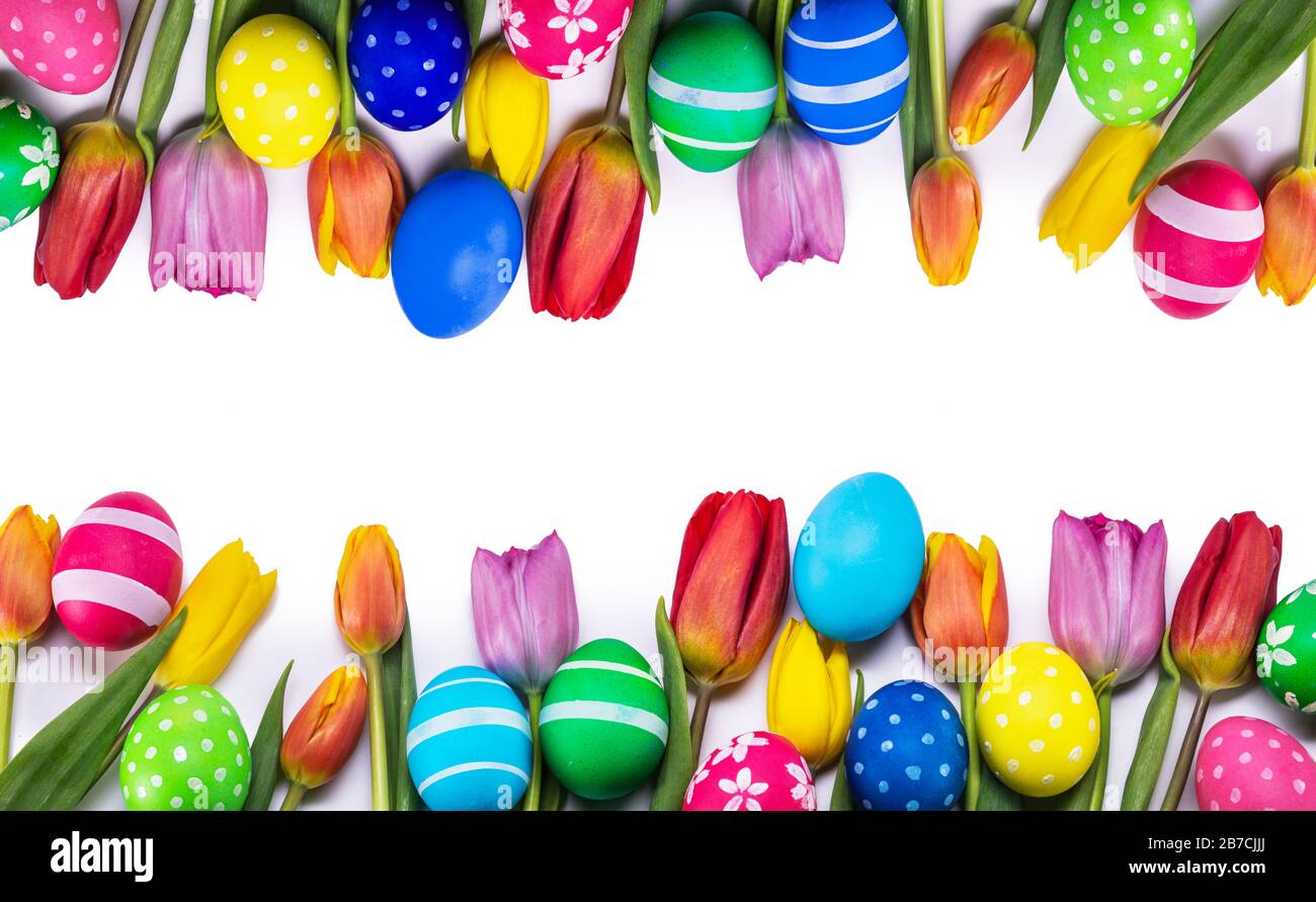 Hand-painted easter eggs with tulips isolated on white background frame ...
