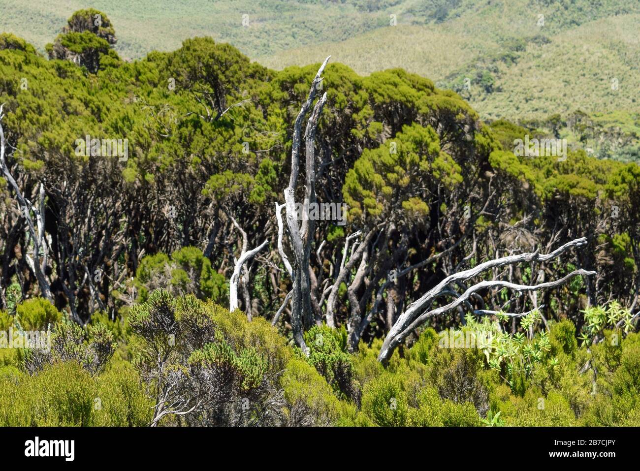 Aberdare ranges hi-res stock photography and images - Alamy