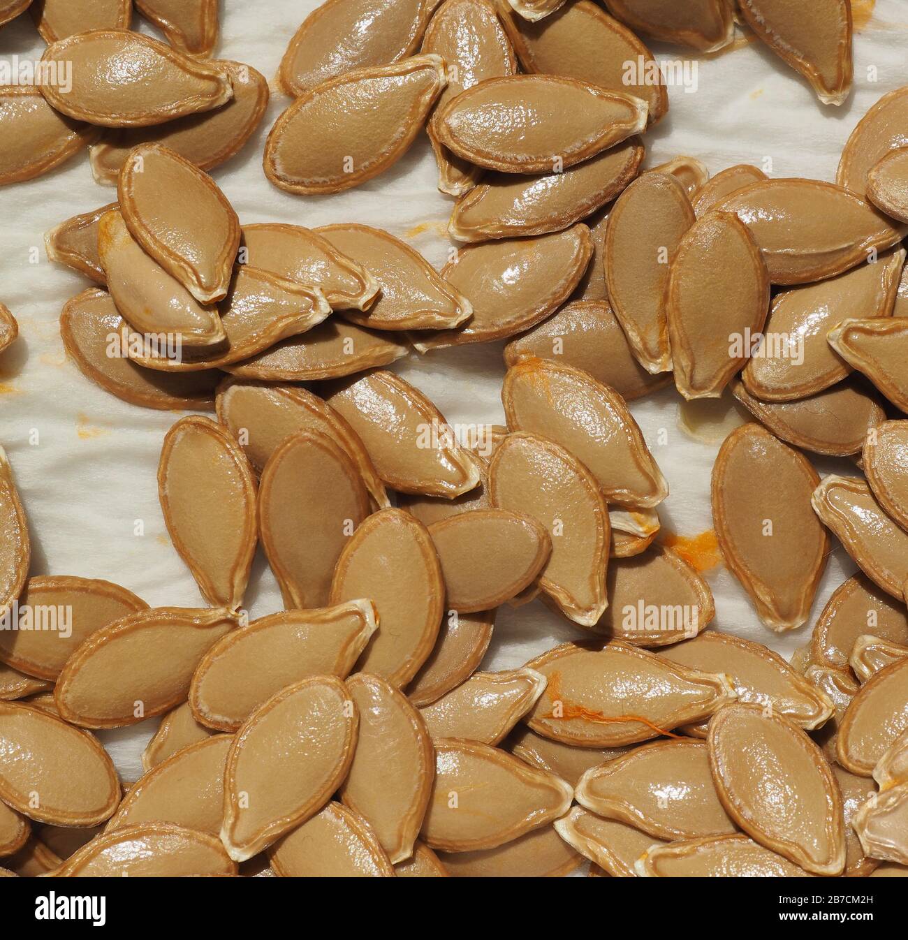 pumpkin seeds (aka as pepita or squash seed Stock Photo Alamy