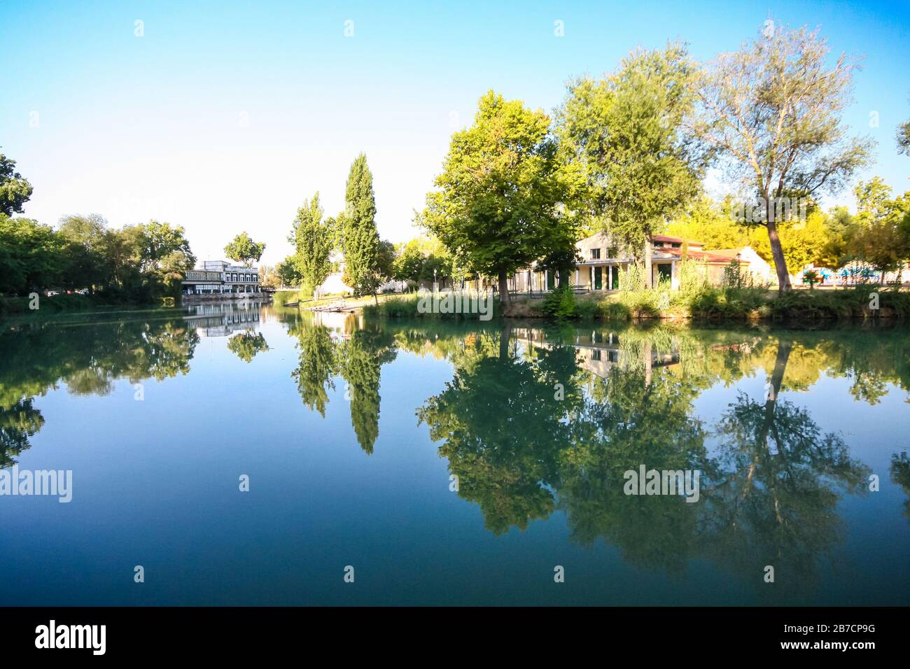 trees reflected in the water of a lake Stock Photo - Alamy