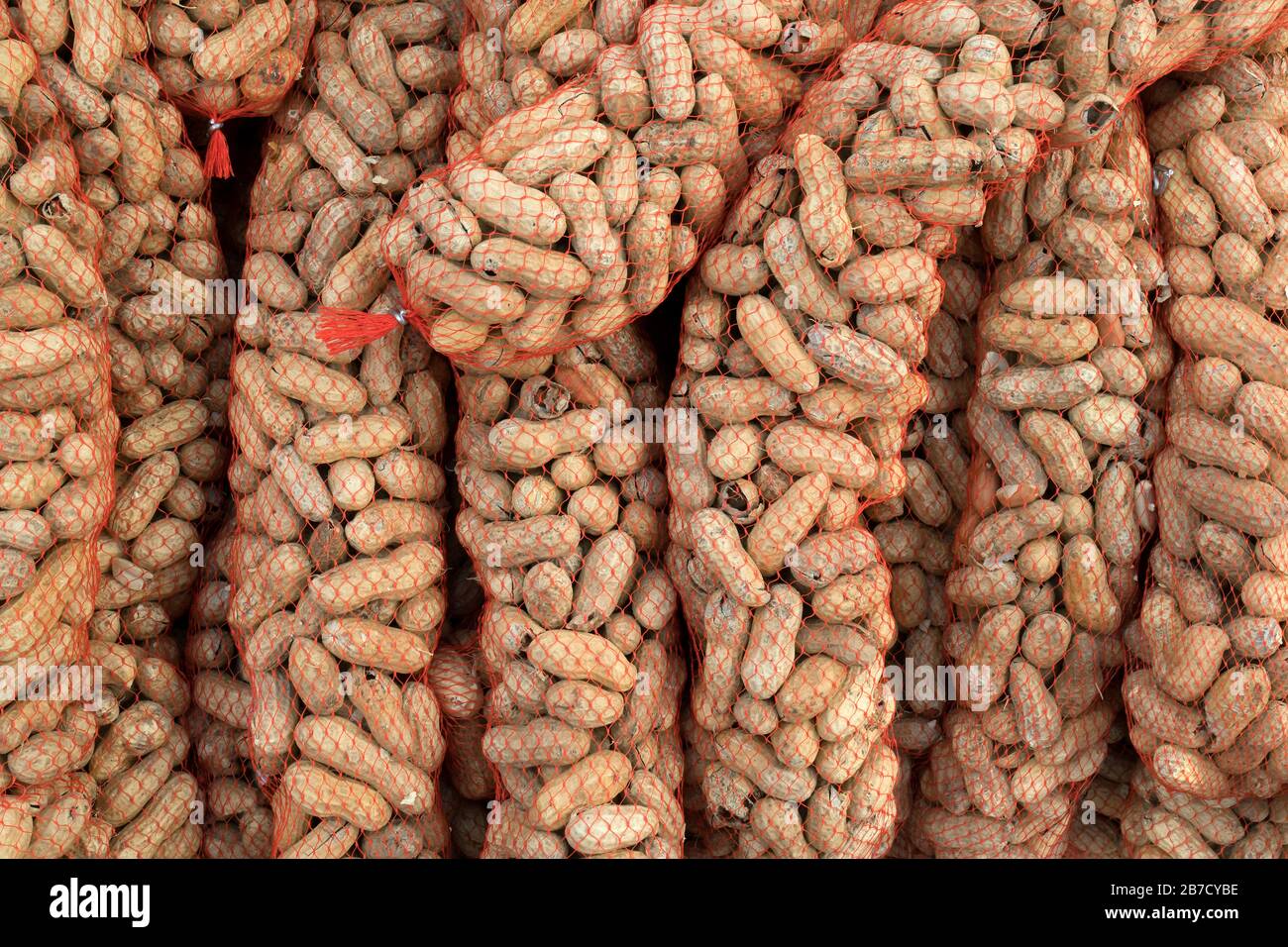 Peanuts for bird food in a net for sale at the market in winter Stock Photo