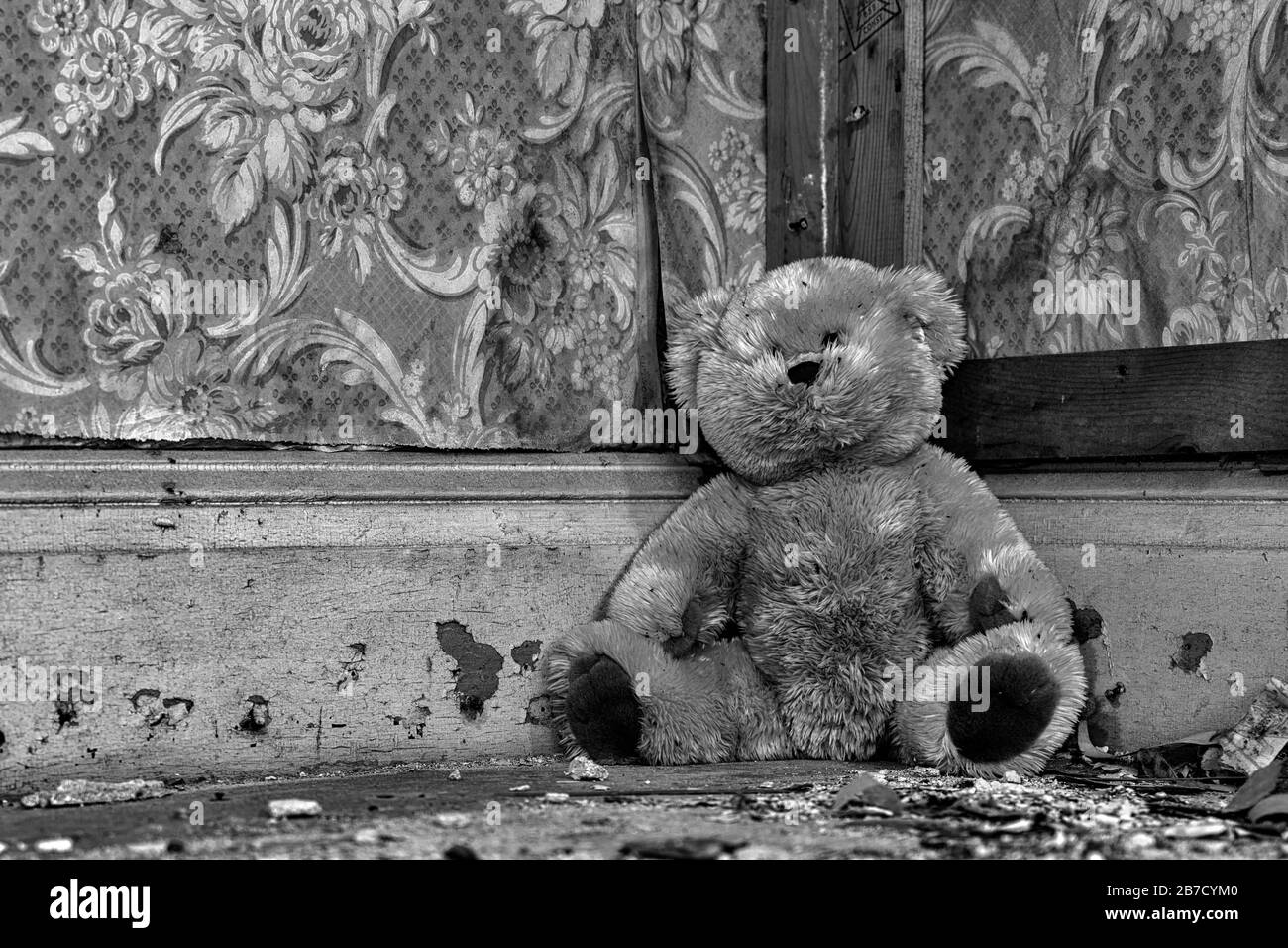 A dirty teddy bear sitting in the corner in an old, abandoned house. Debris on the floor and wallpaper peeling from the wall. Black and white. Stock Photo