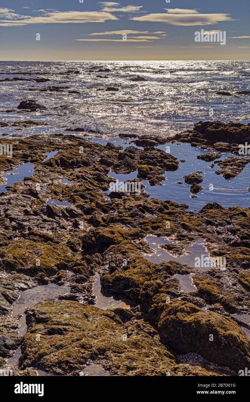 Rocky sea shore Stock Photo - Alamy