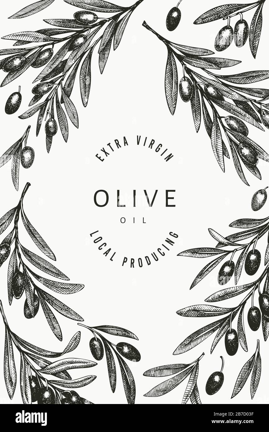 Olive branch design template. Hand drawn vector food illustration ...