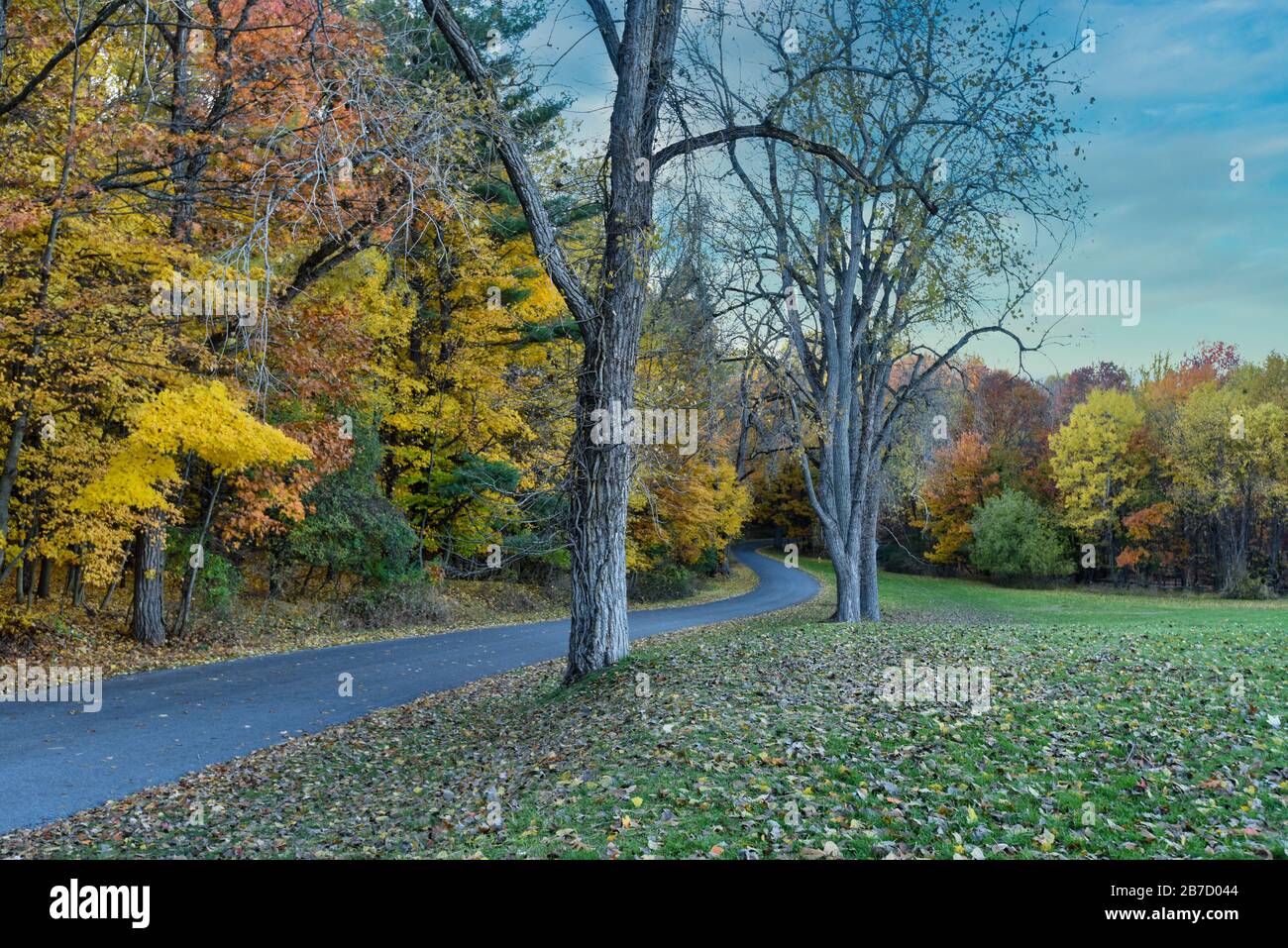 A winding country road weaves through colorful autumn trees. Stock Photo