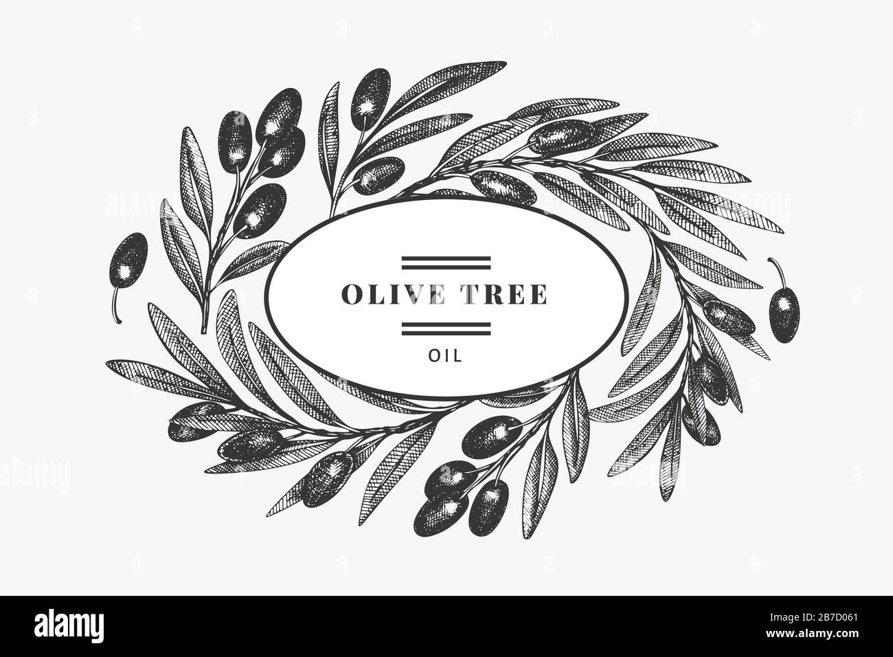 Olive branch design template. Hand drawn vector food illustration ...