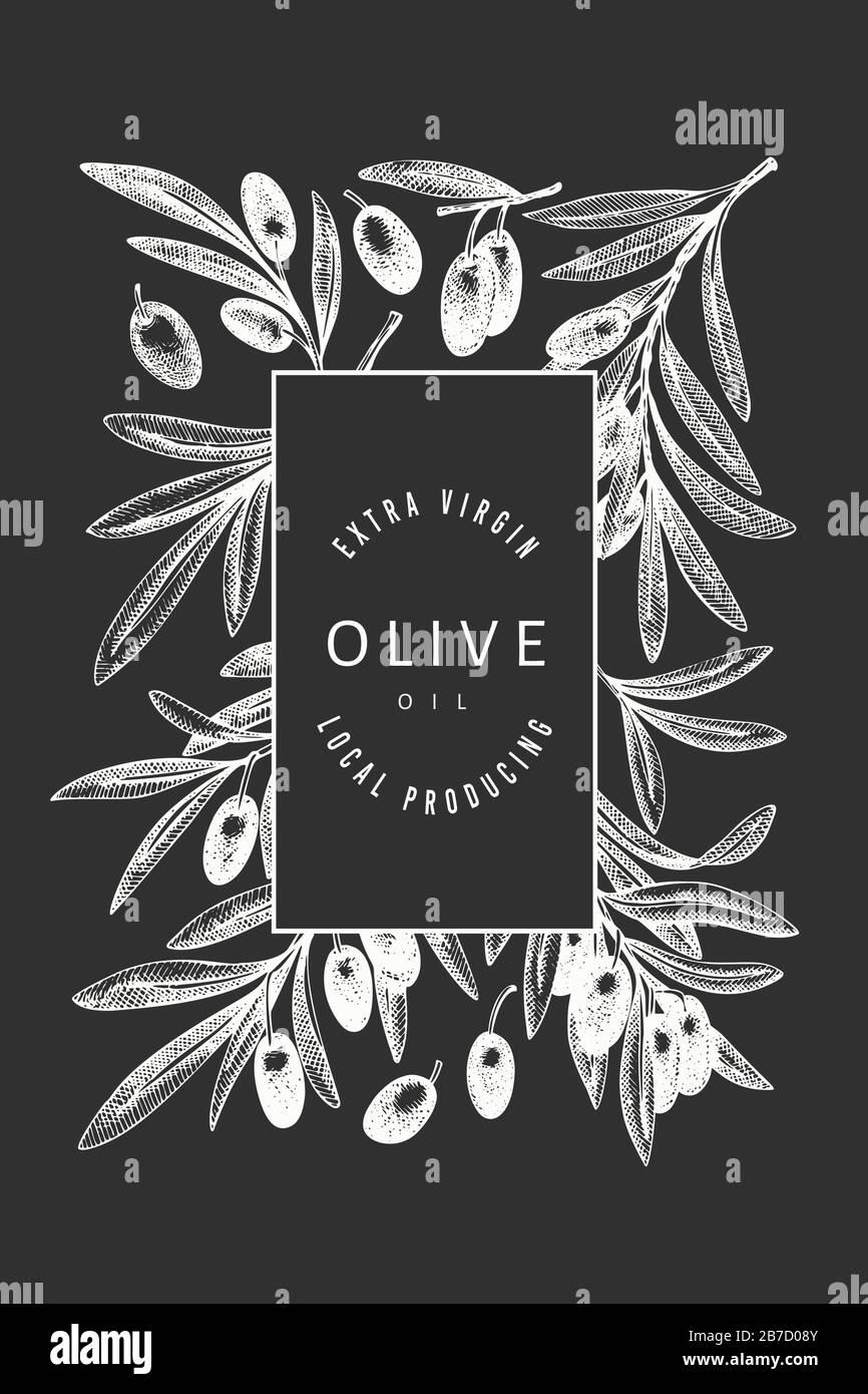 Olive branch design template. Hand drawn vector food illustration on ...