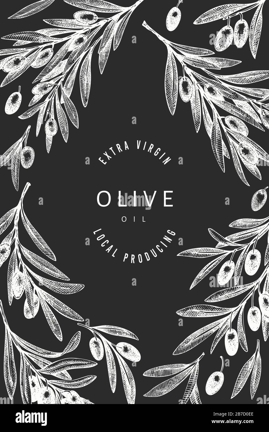 Olive branch design template. Hand drawn vector food illustration on ...